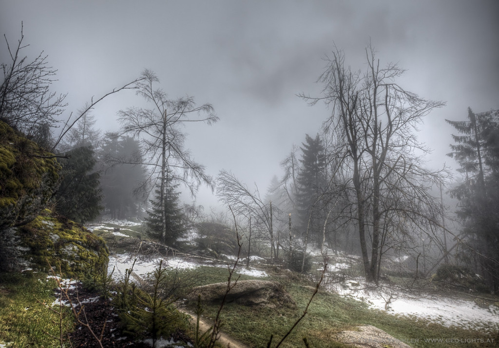 der Lauf der Natur